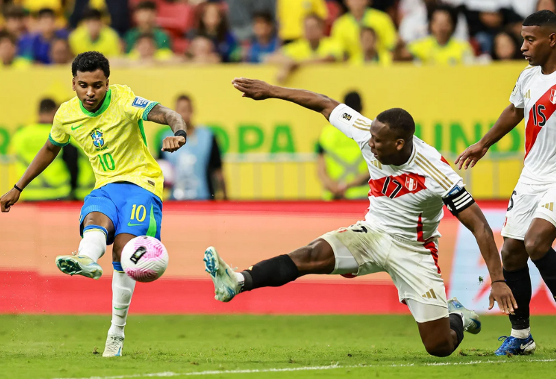 其技术适配 其技术适配