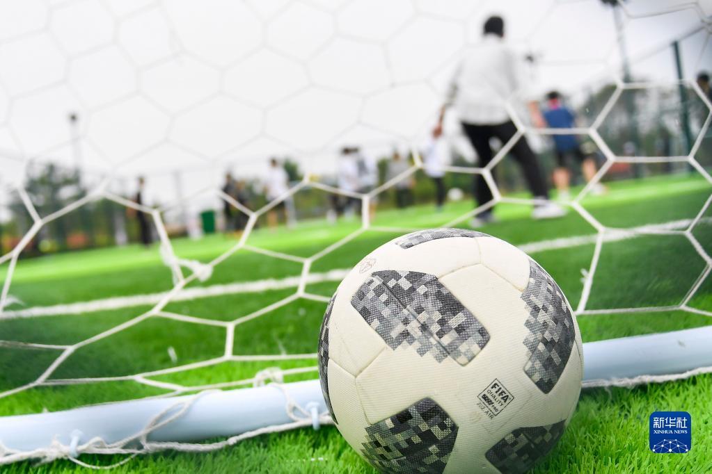 年轻球员的 年轻球员的