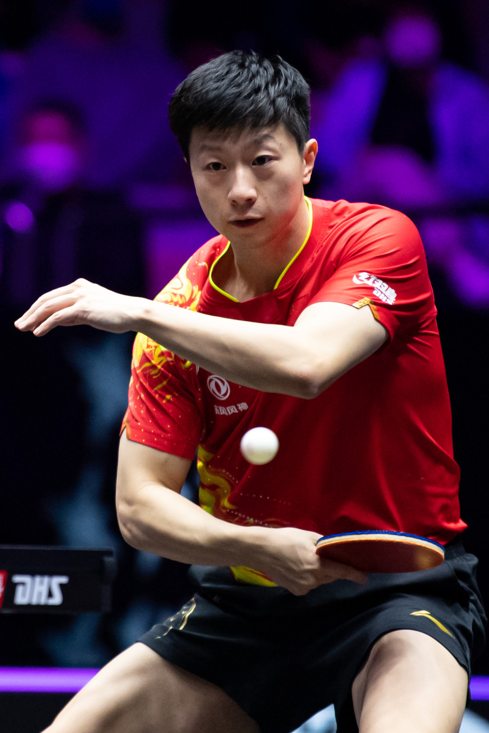 伍与观众的 伍与观众的