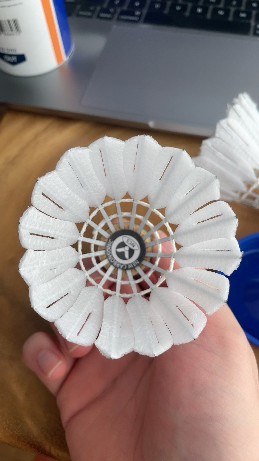 季的欧战表 季的欧战表