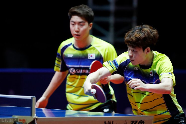 具备专业资 具备专业资